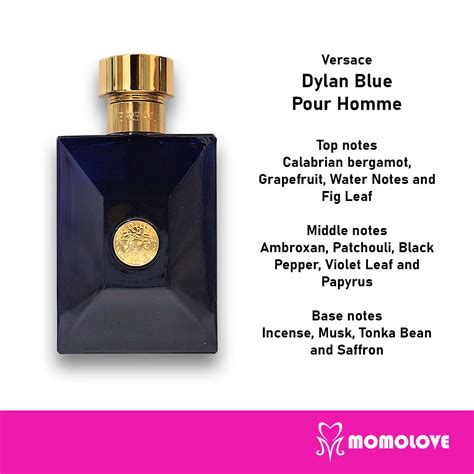 what does versace dylan blue smell like|versace dylan blue scent notes.